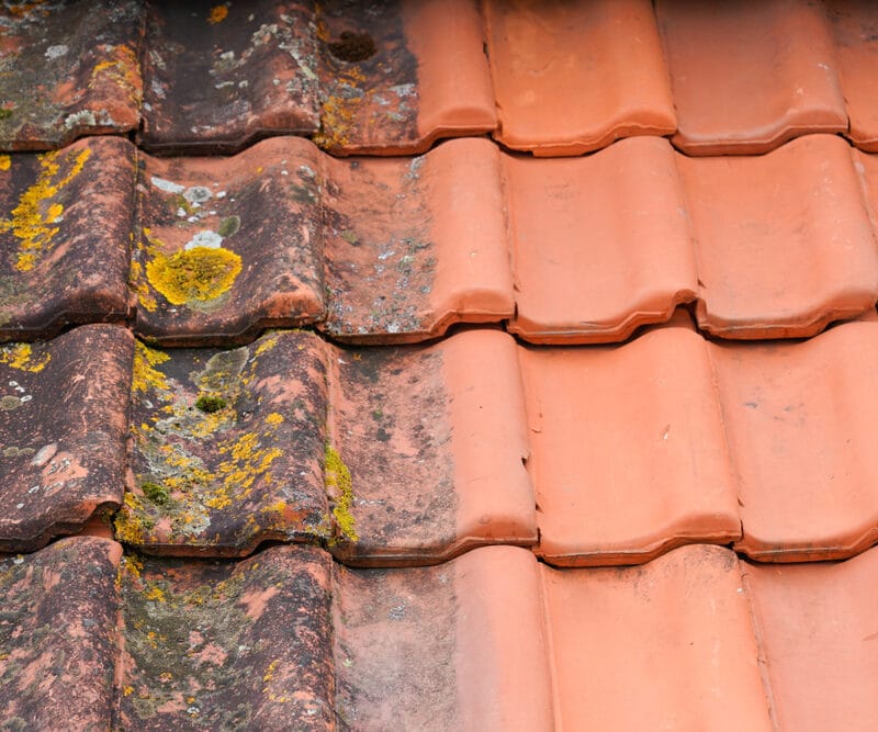 How to Remove Moss from Your Roof: 6 Mistakes You Should Avoid