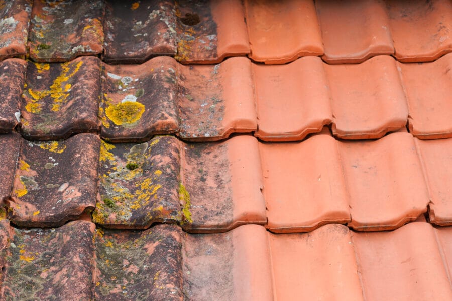 How to Remove Moss from Your Roof: 6 Mistakes You Should Avoid